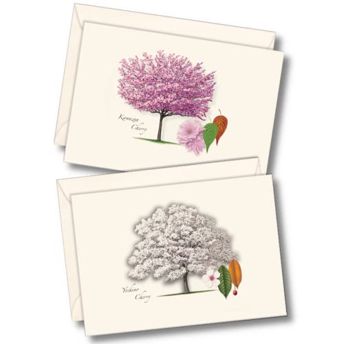 Image of Earth Sky + Water - Cherry Tree Assortment Notecard Set - 8 Blank Cards with Envelopes (4 each of 2 styles)