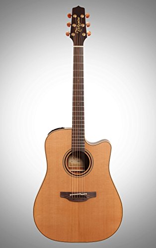 TAKAMINE – TAKAMINE P3DC – GTVP3DC