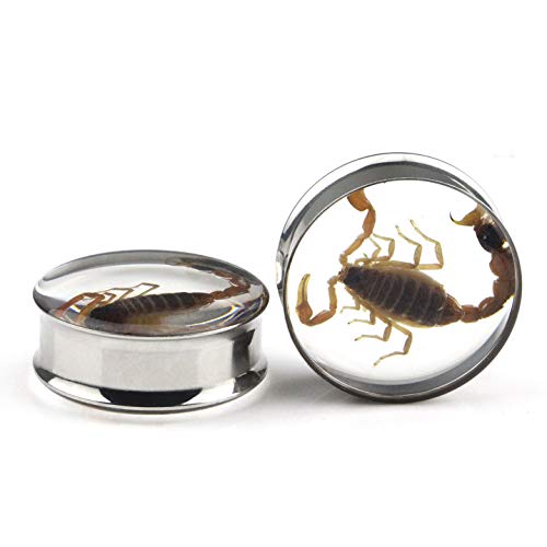 Ear Gauges Plugs Genuine Scorpion Inlay Stainless Steel Double Flare Tunnels Stretching Expander Body Piercing Jewelry 2 Pieces3