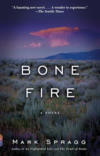 Bone Fire: A novel view 2