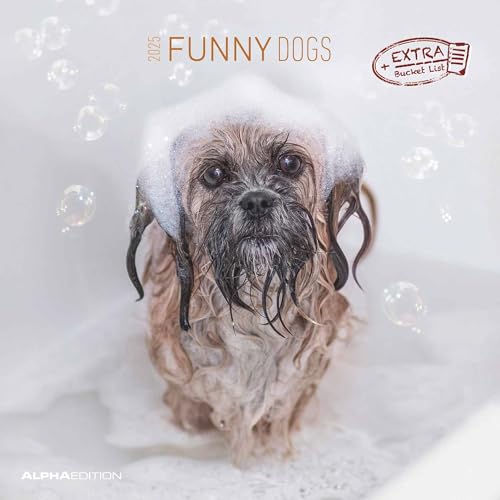 Alpha Edition - Funny Dogs 2025 Broschürenkalender, 30x30cm, Wandkalender mit Platz für Notizen und Termine, lustige Hunde-Motive, Monatsübersicht und Ferientermine DE/AT/CH
