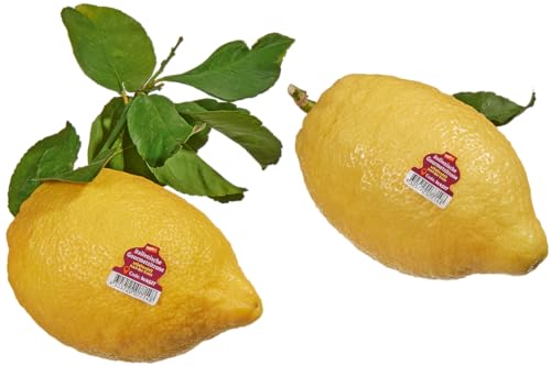 Generisch Gourmetzitrone, 1 Stück