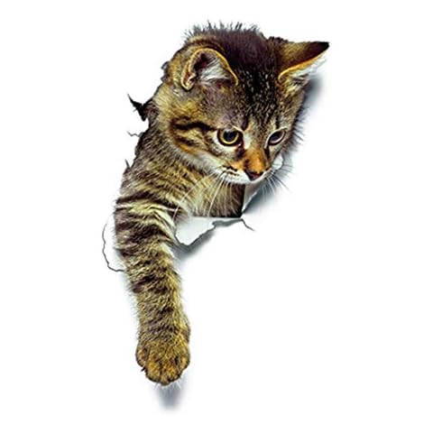 Ogquaton 3D Nette Katze Wandkunst Aufkleber Bad Toilettendeckel Abdeckung Aufkleber Dekoration größe 3 3 Neu Freigegeben Cover