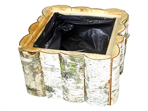 Damian-Wiklina Maceta de abedul, caja de abedul, caja de jardín de madera, maceta de madera para vivir con papel de aluminio dentro de la maceta (30 x 30 x 14 cm)