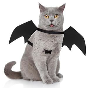 Pet Cat Bat Wings for Halloween Party Decoration, Dog Cosplay Bat Costume,Puppy and Cat Dress Up Accessories (Black, Small)