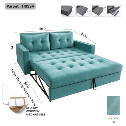Image of FURNY Trisso 2 Seater Fabric Pull-Out Sofa Cum Bed (Sky Blue) - Premium Velvet Finish - Durable Comfort - Ideal for Living Room