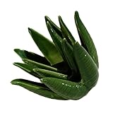 TOYANDONA Bandeja Organizadora de Cerámica para Joyas con Diseño de Cactus Plato para Anillos y Pendientes Soporte Resistente y Elegante para Almacenamiento Mesa o Entrada