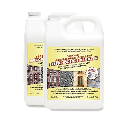 Smart 'n Easy Efflorescence Remover - Heavy Duty Professional Strength Formula - Removes The Toughest Salt, Calcium, and Magnesium Deposits from Concrete, Brick, Stucco, Pavers, & More - 2 Gallons