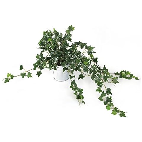 Closer2Nature Artificial 57cm Variegated Ivy Plug Plant, Fake Vine Green Leaves Hanging Vine Plant Decoration Plants for Indoors in Home Decor Lounge and Office or Outdoor Foliage - Pot Not Included Cover