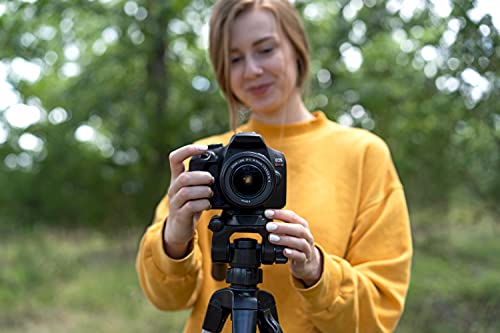 Davoice 44Mm Tripod Quick Release Plate Camera Mounting Adapter Parts Replacement For Certain Ambico, Tar Gus, Velbon, Vista Explorer 60”, Sony, Sunpak, Ravelli Tripod Mount Attachment Baseplate Qb-4W #TOP7