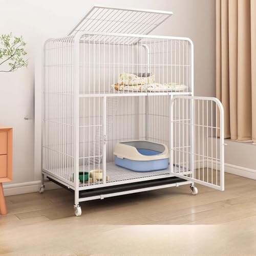 DearollingL̕ʑP[WPWƒpybg厩RԔLPWL̑LnEX̌^gCybg^t[Xy[XXy[XLȂLPWLLɈ̃gC (v[[t^dV,zCg)