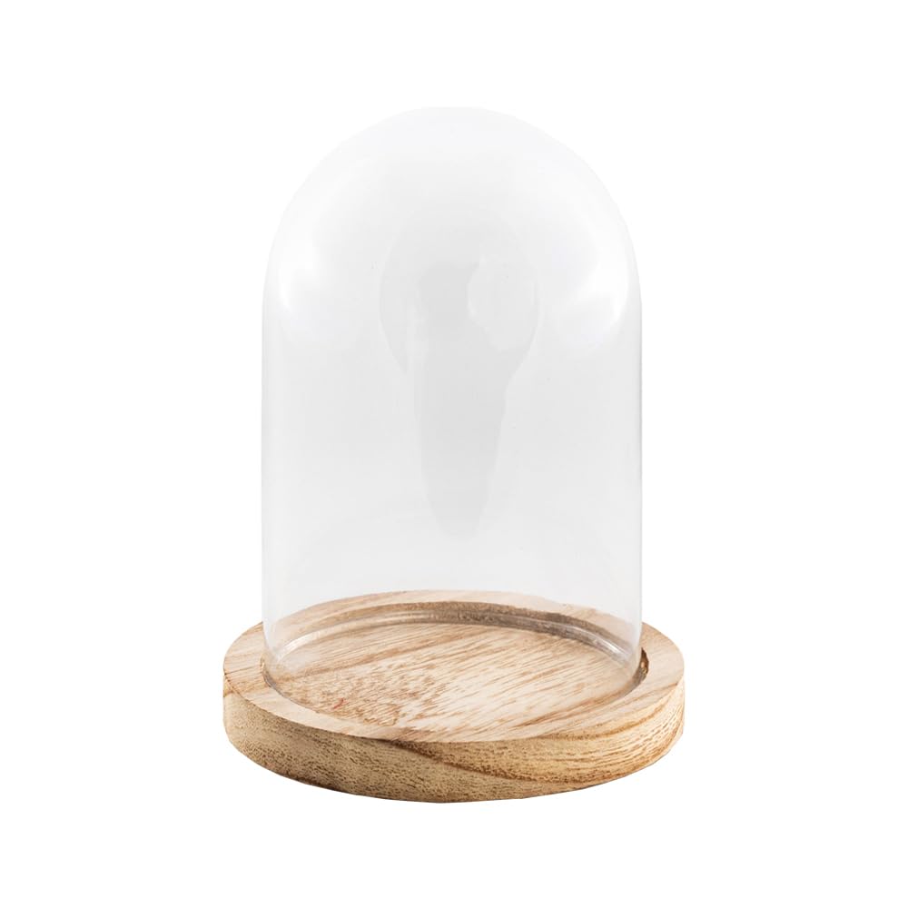 Cloche en verre dôme de présentation transparent socle bois 21cm