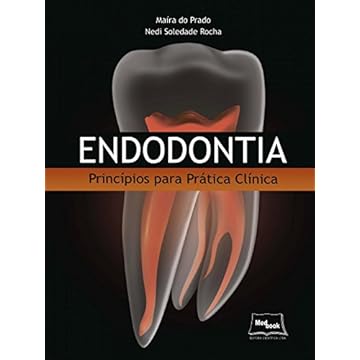 Capa do livro Endodontia: Princípios para prática clínica