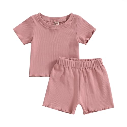 CIYCUIT Toddler Baby Girl Summer Clothes Ruffle Short Sleeve Shirt Shorts Outfit Set (A1 Pink, 2-3T)