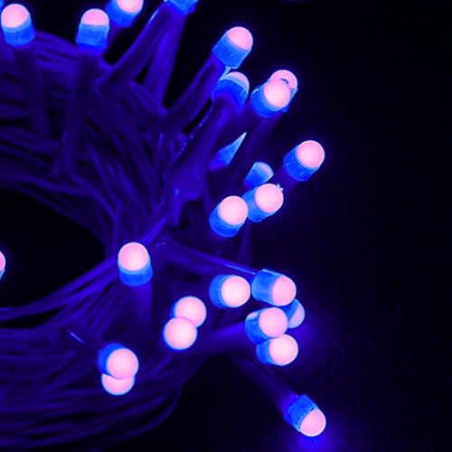 Image of Lexton String Light 10 Meter | 360 Degree Light in Led Bulbs | 40 Led Lights Bulbs | Blue | Plug Sourced | String Light for Home Decoration, Party, Occasionally Decor | Pack of 1 |