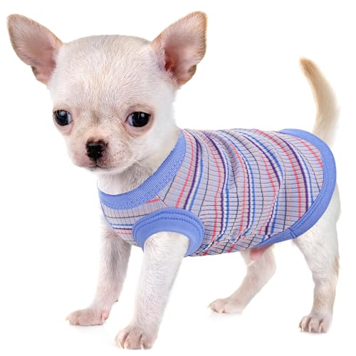Image of Elevate Your Pet's Comfort and Fashion: Premium 100% Cotton Rib Dog Shirt Vest for Small Breeds Like Chihuahuas, Yorkies, and Puppies .Year-Round Style with Tank-Style Puppy Attire Blue Small