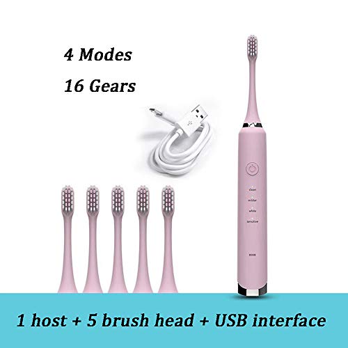 Elektrische Schallzahnbürsten,USB 4 Gänge und 16 ModiUnd Zahnfleischpflege mit 2 Minuten Smart Timer 2 Bürstenköpfe IPX7 Wasserdichte Zahnbürste, Kann