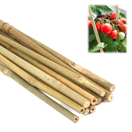 Bambusstäbe Set 40 cm Pflanzenstütze 20 Stück Pflanzstäbe Natürliche Gartenstützen für Tomaten Bohnen Blumen und Bäume Rankstäbe für Topfpflanzen und Kletterpflanzen