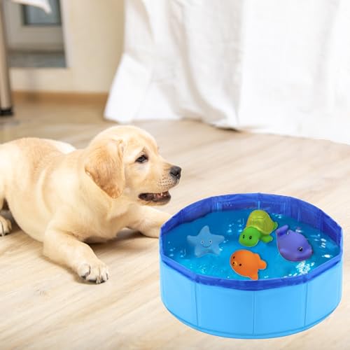 LandReCol Katzenpool, Mit Fisch Wasser Spielzeug Faltbarer Pool 50x10cm Katzen Pool, Interaktives Wasserspielzeug, Tragbares Katzen Hundepool für Katzen und Hunde zum Spielen Baden Verwendet