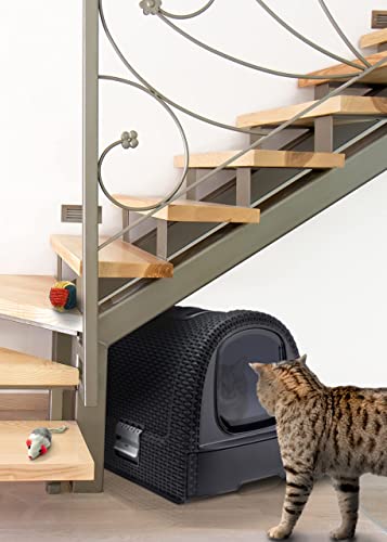 Katzenklo Curver petlife Katzentoilette mit Deckel