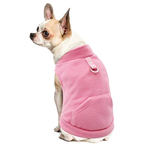 10 Best Dog Walking Clothes in 2023 (July update)