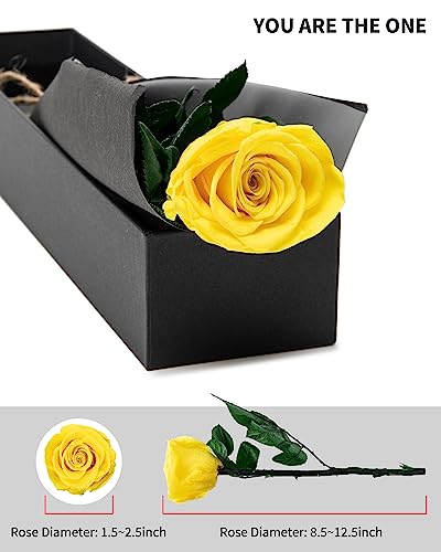 Image of Yellow Flowers for Delivery Prime, Preserved Yellow Roses Flower Gifts for Women, Real Roses Single Rose Gifts for Her, Mom Birthday Gifts from Daughter,, Valentines Flowers