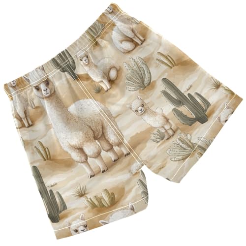 Pigsaly Boys' Swim Board Shorts Watercolor Green Cacti Llama Alpacas Boy's Swim Trunks Kids Swimwear 4T2