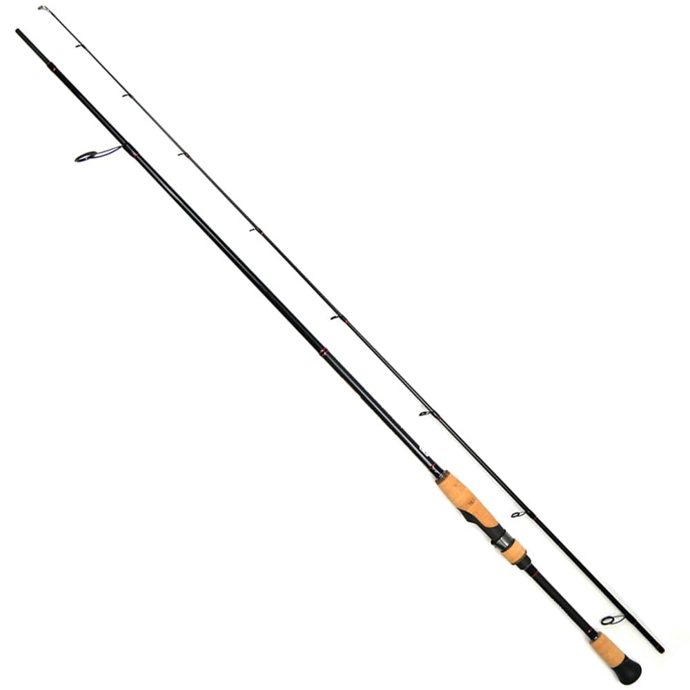 Amazon | PLIABLE プライアブル 81M FIDELITY フィデリティー  