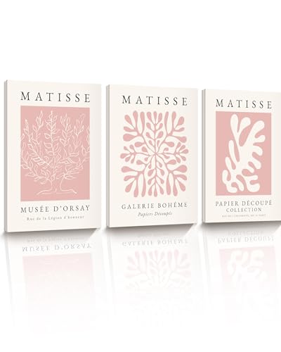 HesenDot Matisse Pink Framed Wall Art,30x40CM Abstract Prints Wall Decor,Boho Posters Wrapped Canvas Wood Frame,Aesthetic Home Decoration for Living Room Bedroom Bathroom Office,Set of 3