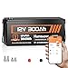 HumsiENK Bluetooth 12V 300Ah Battery LiFePO4 Lithium Built-in 100A BMS, 15000 Deep Cycles Battery 3840Wh with Low-Temp Protection for RV Marine Trolling Motor Home Energy Storage Off-Grid Living