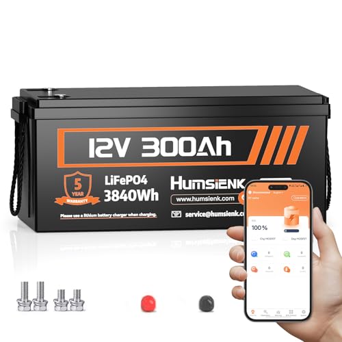 HumsiENK Bluetooth 12V 300Ah Battery LiFePO4...