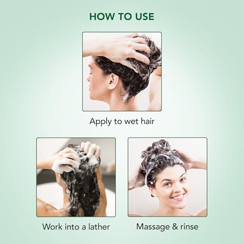 Image of Botanic Hearth Peppermint Oil Shampoo | Hair Blooming Formula With Keratin For Thinning Hair | Fights Hair Loss, | Sulfate Free For Men And Women | 16 Fl Oz