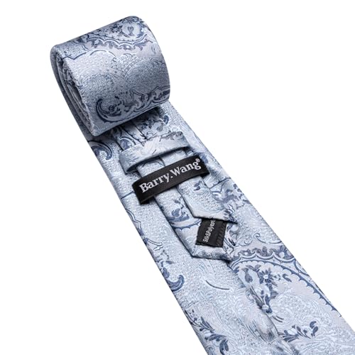 Image of Barry.Wang Paisley Tie for Men Silk Woven Necktie and Tie Clip Set Wedding Party Business Formal