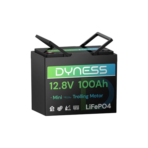 Dyness 12V 100Ah LiFePO4 Battery Mini TM, BCI Group 24, 12V 100Ah Lithium Battery with Low-Temp Protection Built-in 100A BMS, 12.8V Deep Cycles Battery, Perfect for Trolling Motor, RVs, Boat, Marine