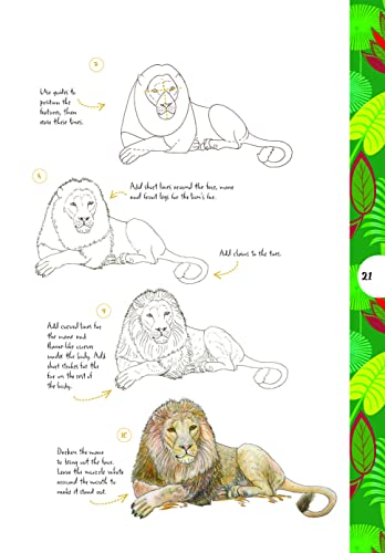 10 Step Drawing Animals