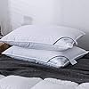 ANALIN 2 pack Goose Feather Down Pillows, 100% Cotton Shell, Non-allergenic & Anti dust mite, Soft Hotel Quality Pillows…