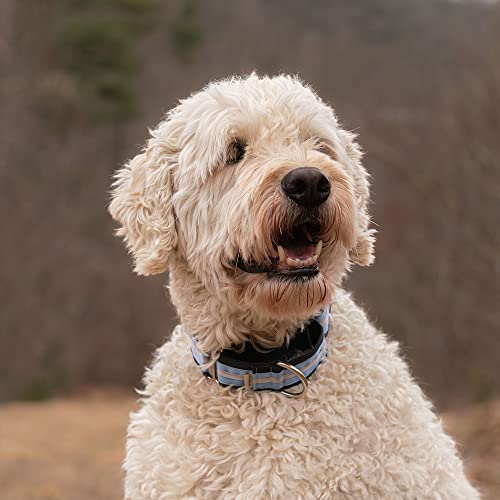 image for If It Barks 1.5 inch Martingale Dog Collars - Quick Snap Release Buckl