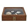 MOOCA Tempered-Glass Top Small Wooden Jewelry Display Case with Removable Black Luxurious Velvet Jewelry Display Pad, Deeper 2.2" Design for Collectibles, Brown Color. #2