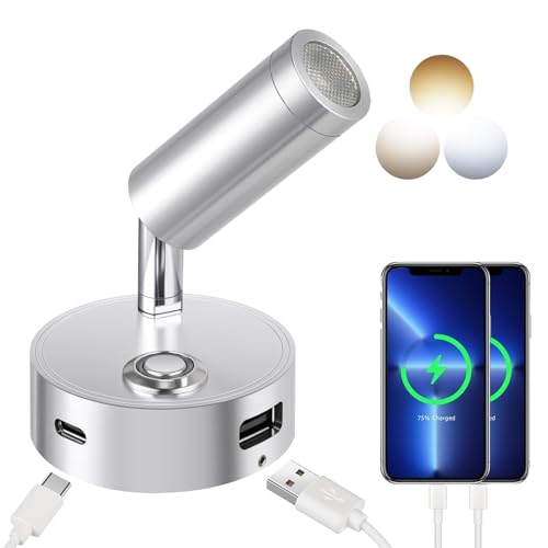 ERWEY LED lampe de lecture 12V RV tactile gradation 3 modes de température de couleur avec fonction de charge connecteur USB A + C, DC 12V - 24V marine...