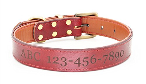 Moonpet Personalized Dog Collar - Custom Engraved Id Soft Padded Genuine Leather Dog Collar - Heavy Duty Strong Adjustable For Small Medium Large X-Large Male Female Dogs Training - L,17.2-22'' #TOP2