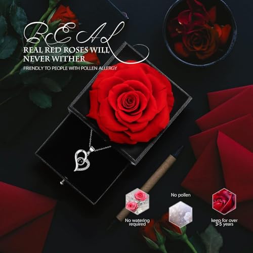 Vellonix Preserved Red Rose Necklace Gift Box - Image 4