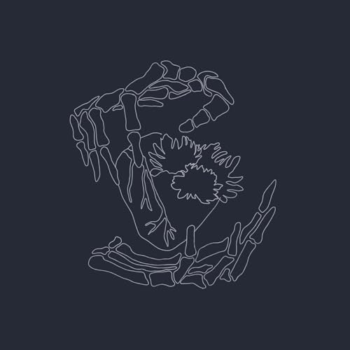 Someone To Stay (Acoustic) by Vancouver Sleep Clinic on Amazon Music