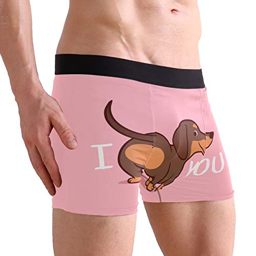 ZZKKO Cow Leopard Lion Mens Boxer Briefs Underwear Breathable Stretch Boxer Trunk with Pouch S-XXL3