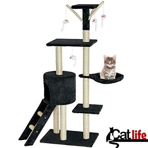 Arbre à chat sisal pour chat d'intérieur manquant d'exercice