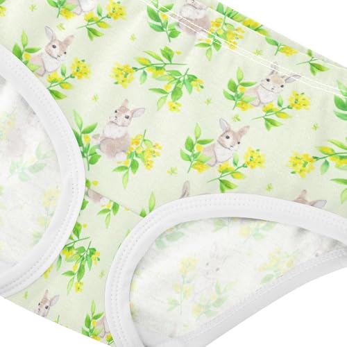 Girls' Underwear Cute Bunny Rabbit Flowers Floral Toddle Brief Panties 23029424