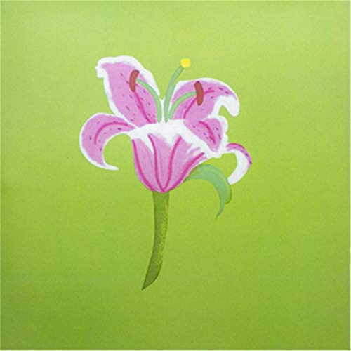 RF Distribution ORSU3620 - Biglietto di Auguri con...