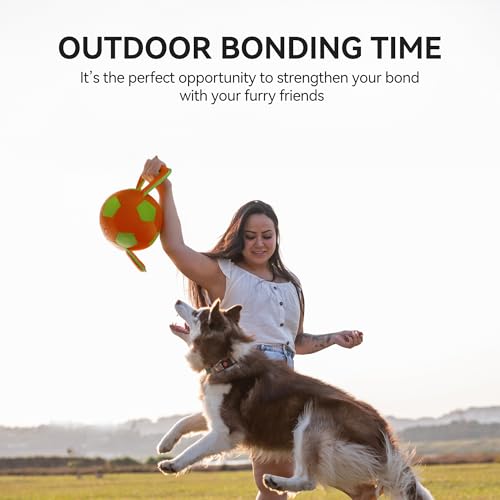 ALL FOR PAWS Handle Ball - Haltbares Hundespielzeug mit Quietscher, Hartes Hundespielzeug für aggressiv beißende Hunde, interaktives Spielzeug, Farbauswahl