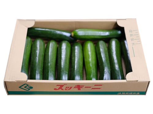 宮崎県産他 ズッキーニ 緑色 8～12本入り （S～Lサイズ）