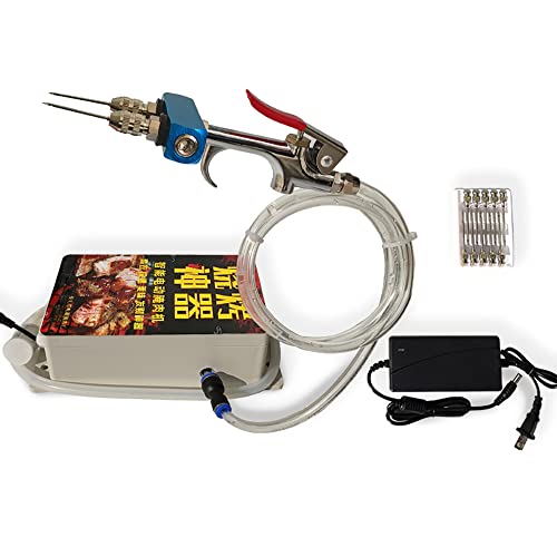 Aitoserlea High Pressure Electric Bacon Pump Gun, Meat Saline Syringe Pump Food Grade Electric Injector Meat Processor 60W with 10Pcs Needle (Double Needle)
