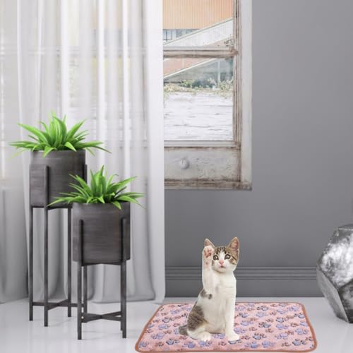 3 Stück Katzendecke, 40X60 cm Katzendecke Für Katzen, Kuscheldecke Hund Waschbar Und Flauschig Weiche Und Warme Decken Haustiere für Kleine Mittlere Hunde Katzen Haustierdecke Schlafmatte